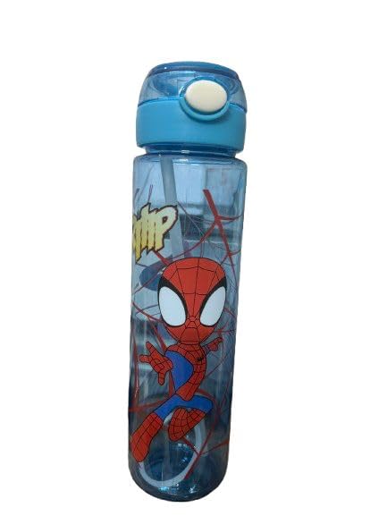 Tumbler Character Water Bottle 900ml | Plastic | Built-in Straw | Leakproof Push-Button Lid | Cute Cartoon Design