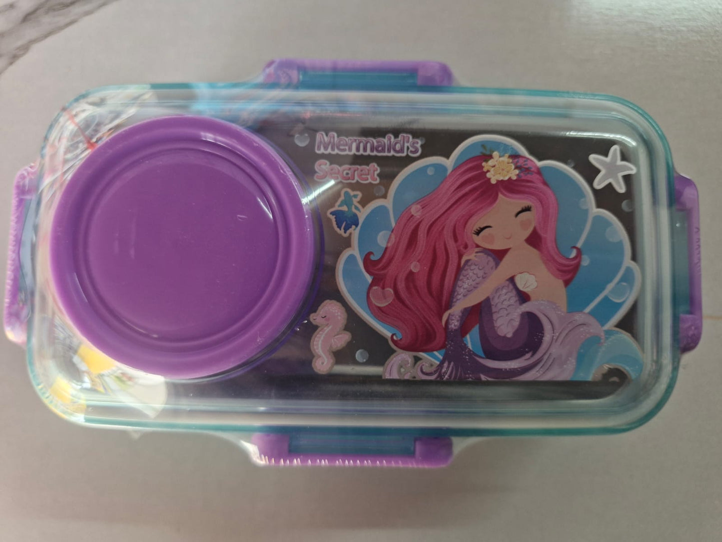 Stainless Steel Lunch Box with Bowl