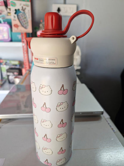 Vacuum Cup Water Bottles 650ml