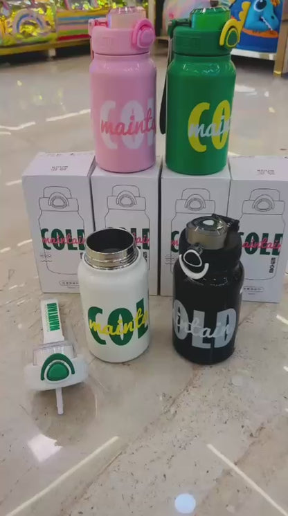 Premium Insulated Steel Bottle – 580ml