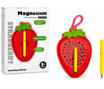 Magnet Toy