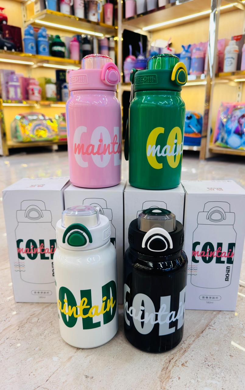 Premium Insulated Steel Bottle – 580ml