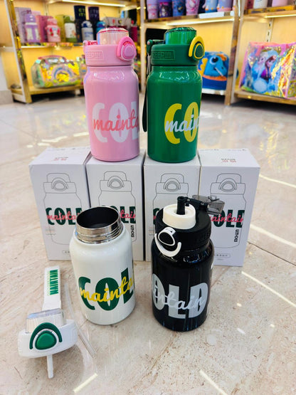 Premium Insulated Steel Bottle – 580ml