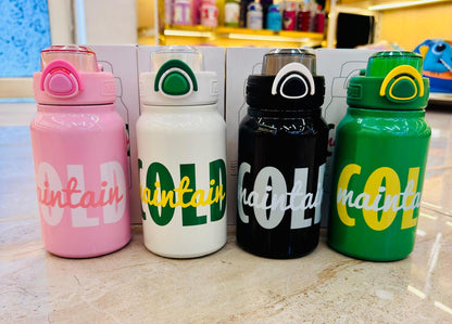 Premium Insulated Steel Bottle – 580ml